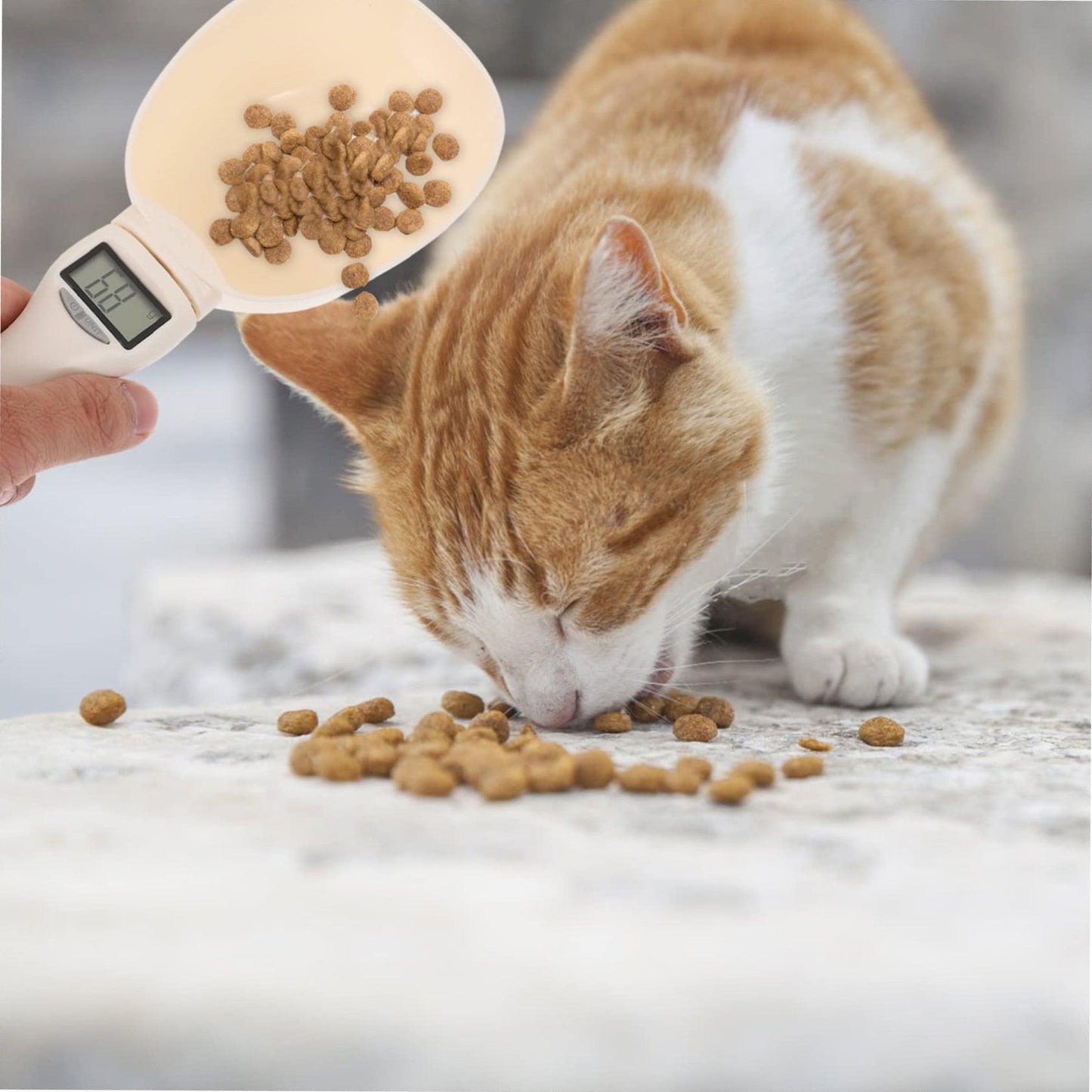 Niomes™ Precision Pet Feeder