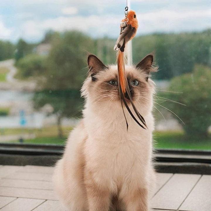 Interactive Bird Simulation Toy for Cats